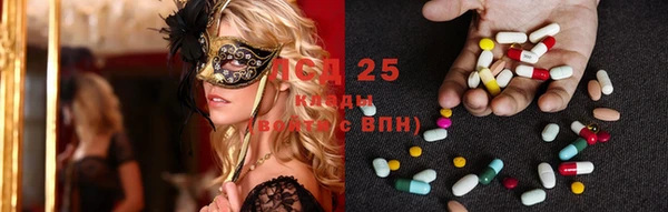 ГАЛЛЮЦИНОГЕННЫЕ ГРИБЫ Магас