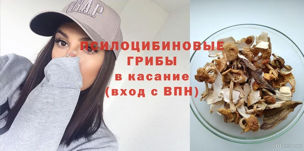 прущий лед Липки