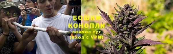 ГАЛЛЮЦИНОГЕННЫЕ ГРИБЫ Магас
