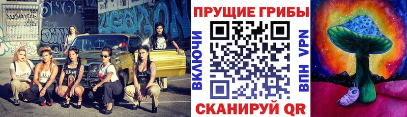 Псилоцибиновые грибы Psilocybine cubensis  цена   Маркс 