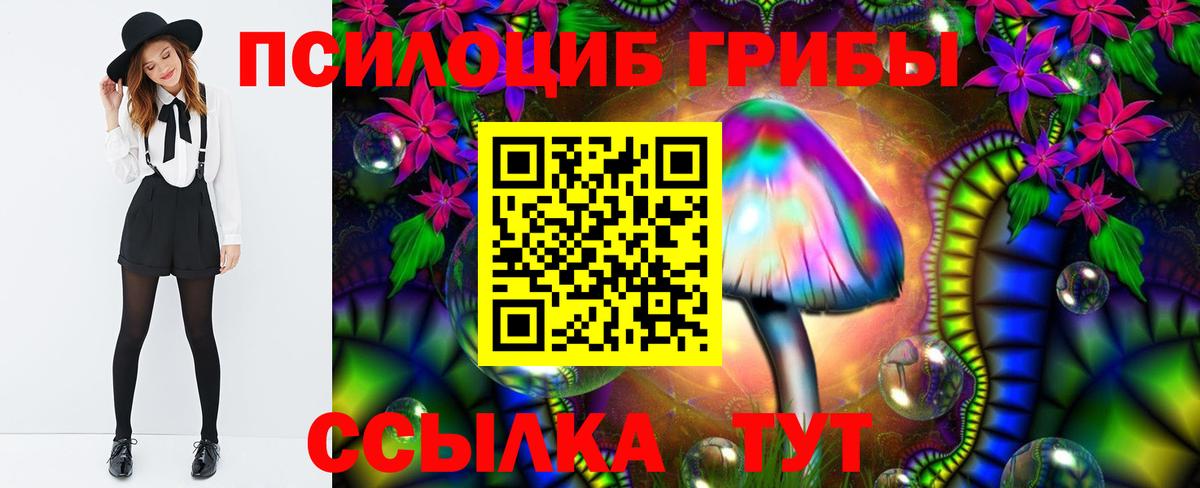 Маркс  Псилоцибиновые грибы Psilocybine cubensis  Вход с VPN  Псилоцибиновые грибы Cubensis 
